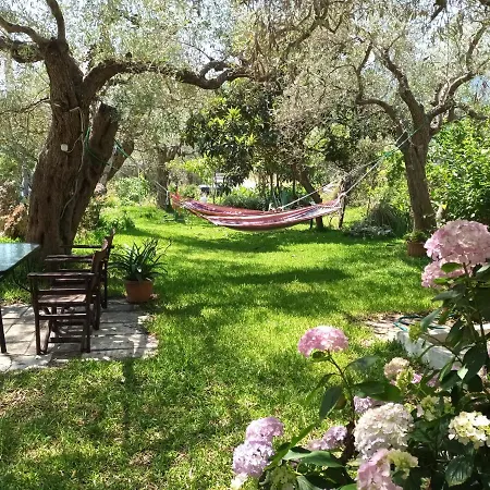 Olive Garden Villas And Apartments Chrysi Ammoudia Room photo